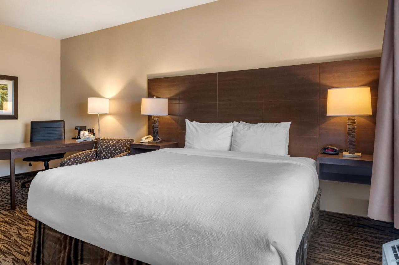 Best Western Plus Bridgewater Hotel & Convention Centre Zewnętrze zdjęcie